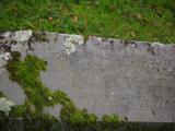 image of grave number 899129